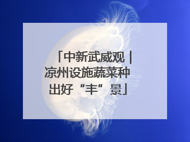 中新武威观｜凉州设施蔬菜种出好“丰”景